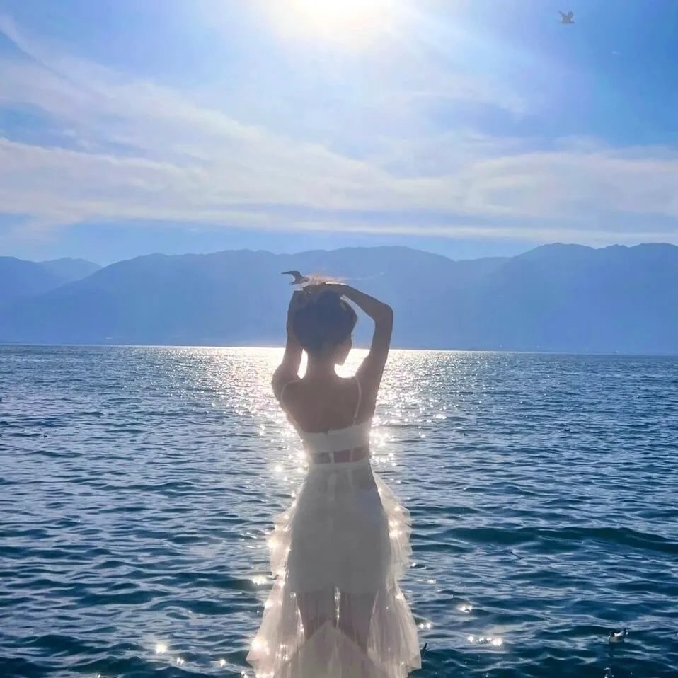 海豹自卫队