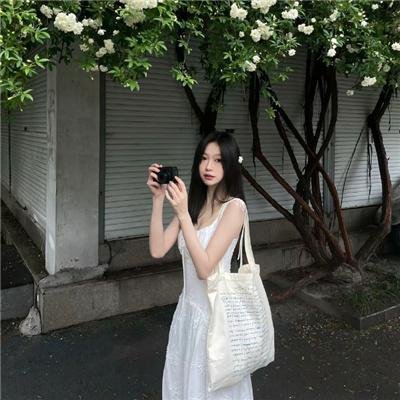 芳寸之地